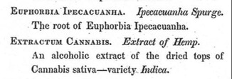 Euphorbia Ipecacuanha