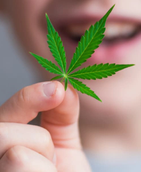 Medical Vs. Recreational Cannabis