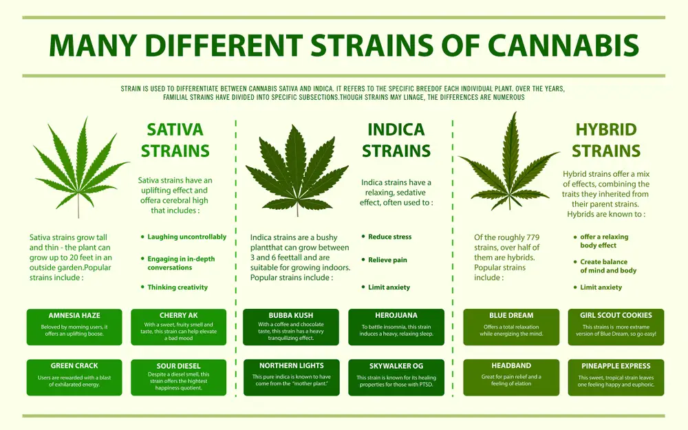 many different strains of cannabis