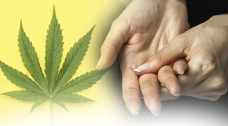 Nail Patella And Cannabis