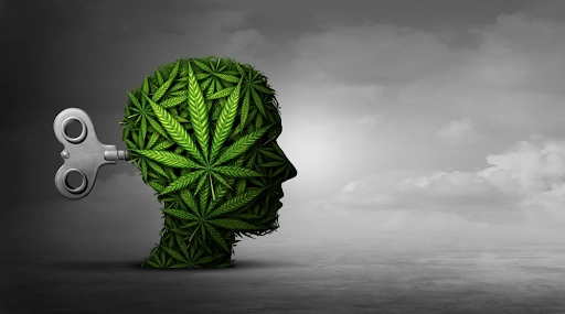How Does Marijuana Work With PTSD