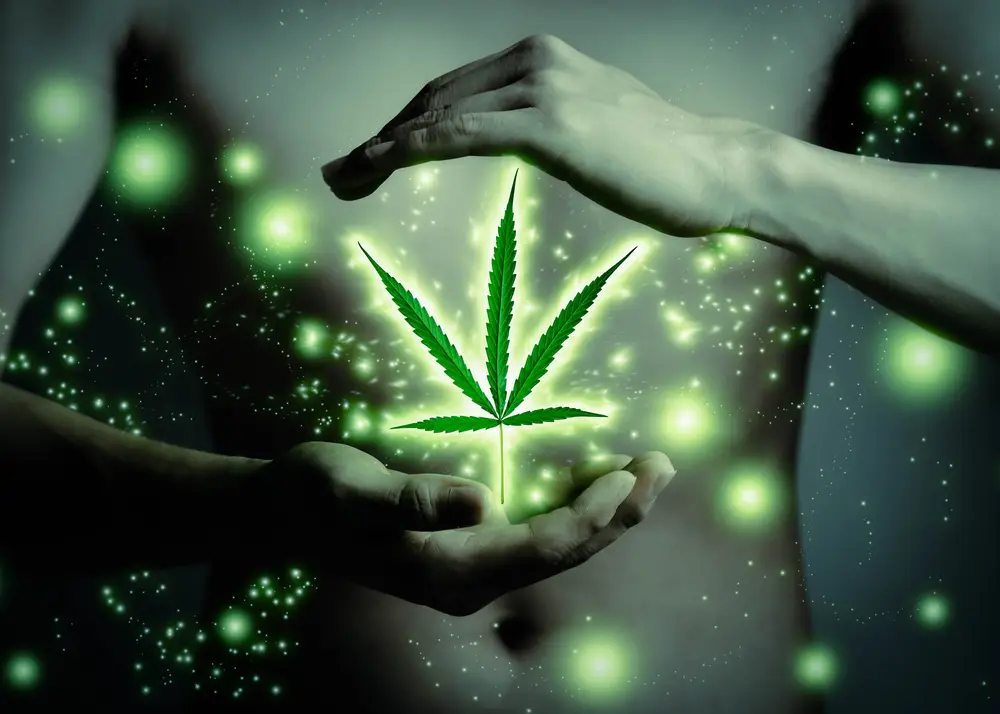 Legalize marijuana